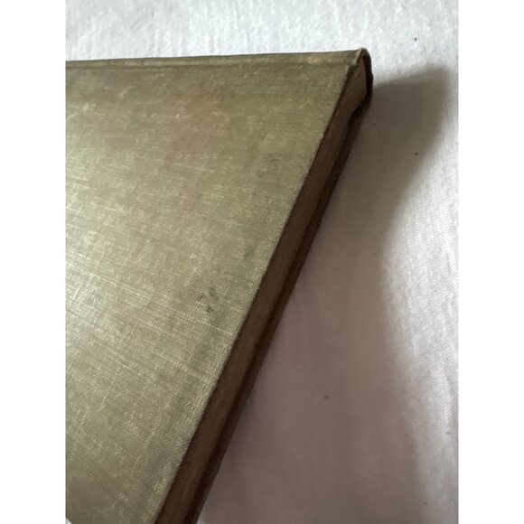 The Aldine Readers A Primer By Bryce & Spaulding 1907 Hardcover Book With Illust - Picture 13 of 16